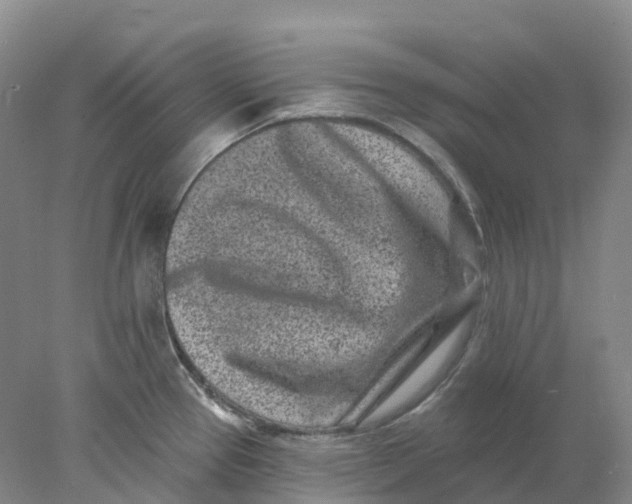 X0000077981337200611171719
