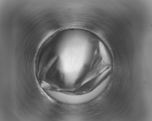 X0000077981341200611171719