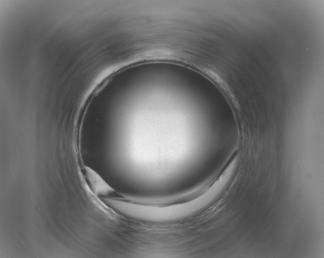 X0000077981342200611171719