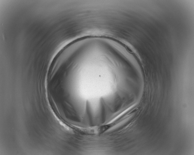 X0000077981343200611171719