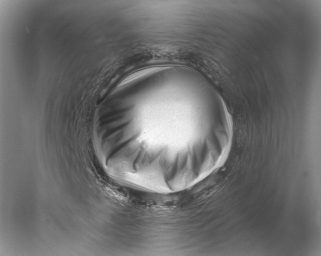 X0000077981345200611171718