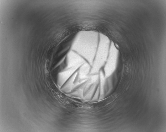 X0000077981346200611171718