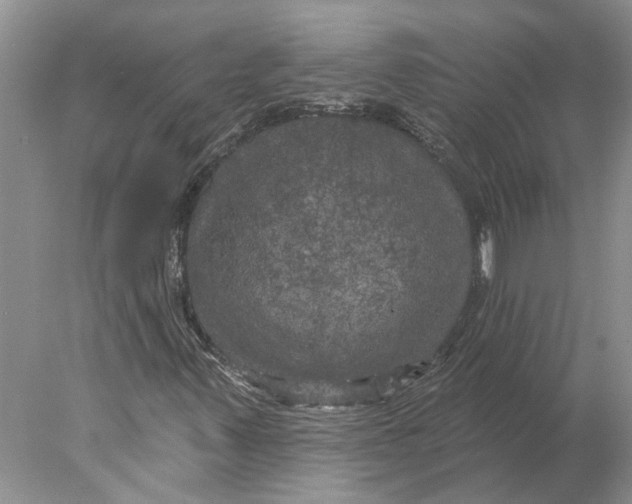 X0000077981347200611171718
