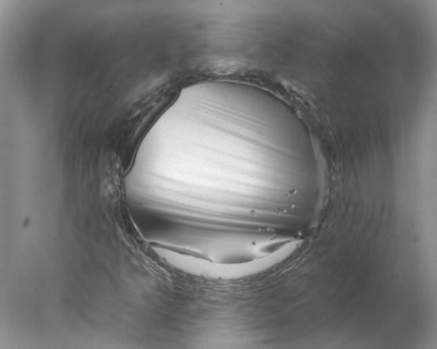 X0000077981349200611171718