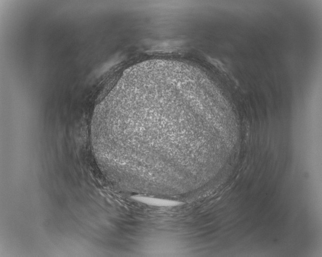 X0000077981350200611171718