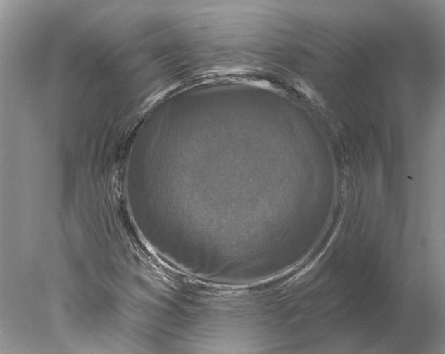 X0000077981353200611171718