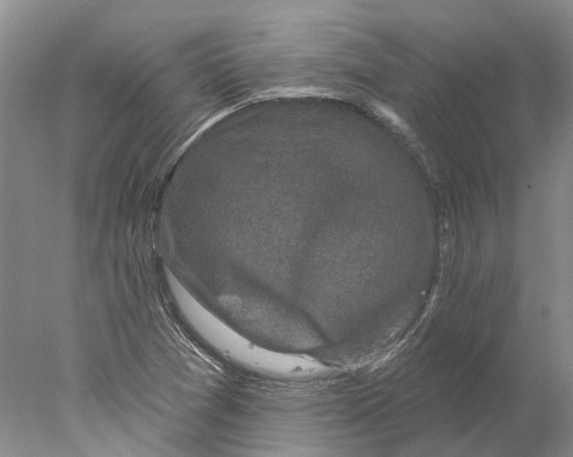 X0000077981361200611171718