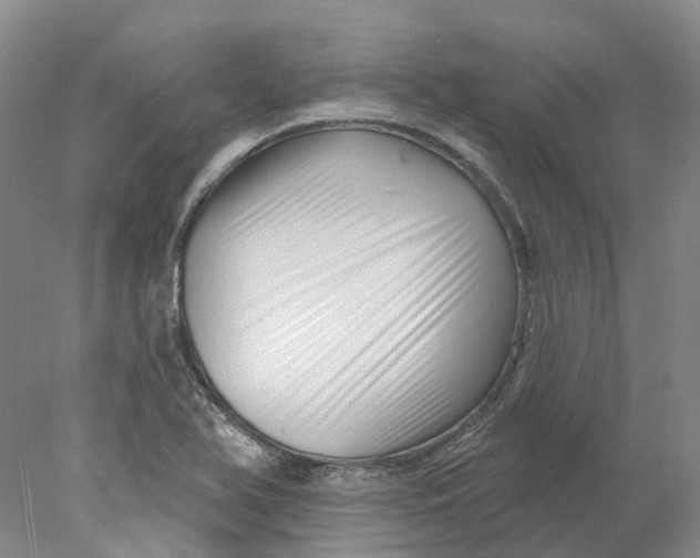 X0000077981366200611171718
