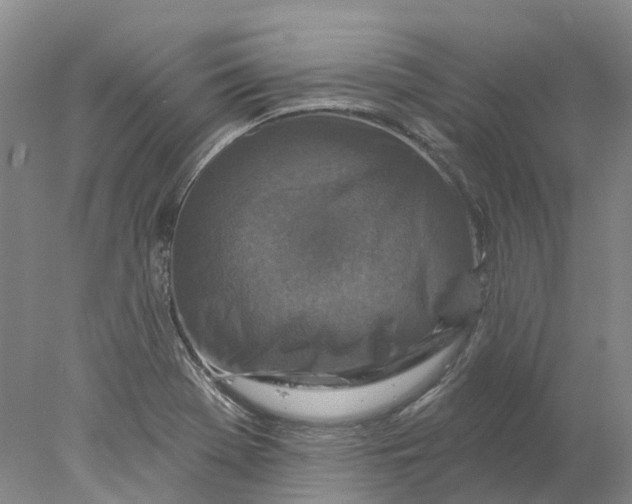 X0000077981369200611171718