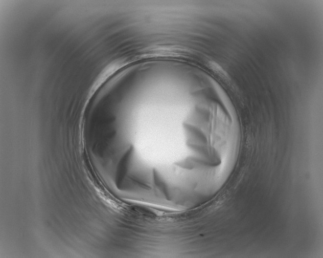 X0000077981370200611171718