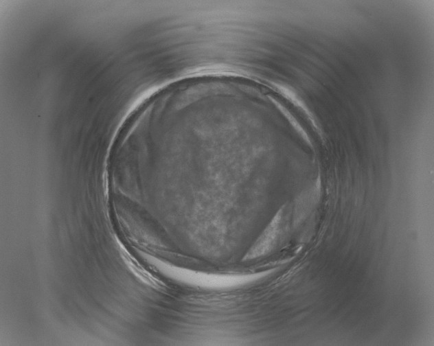 X0000077981372200611171717