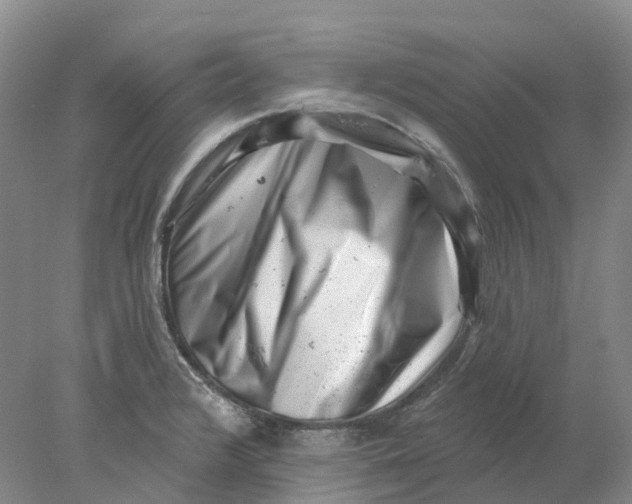 X0000077981376200611171717