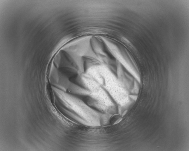 X0000077981378200611171717