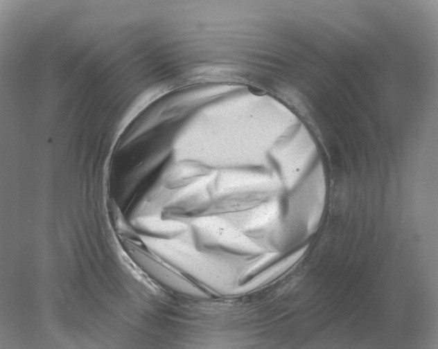 X0000077981386200611171717