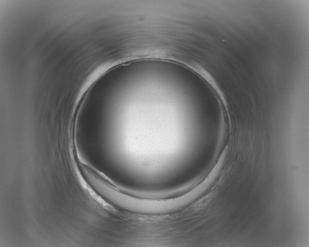 X0000077981389200611171717