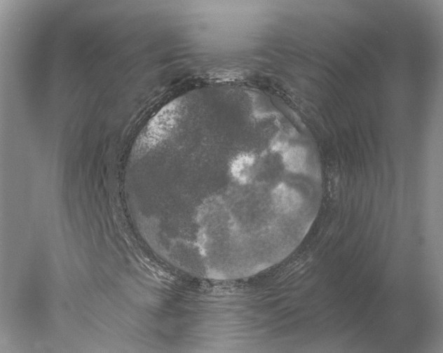 X0000077981393200611171716