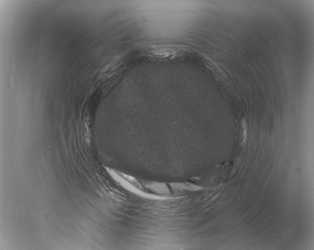 X0000077981394200611171716