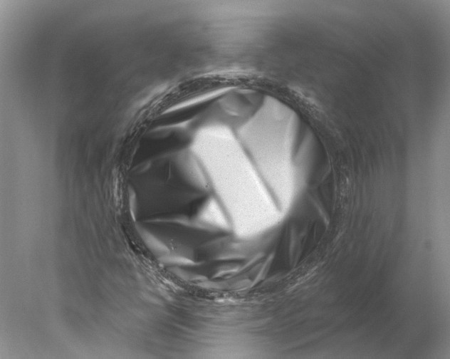 X0000077981398200611171716