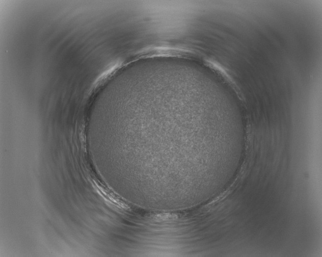 X0000077981403200611171717