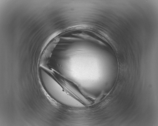 X0000077981426200611171717