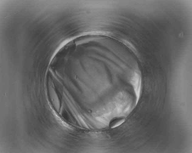 X0000077981428200611171717