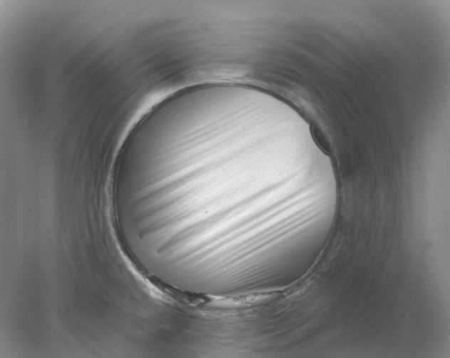 X0000077981432200611171717