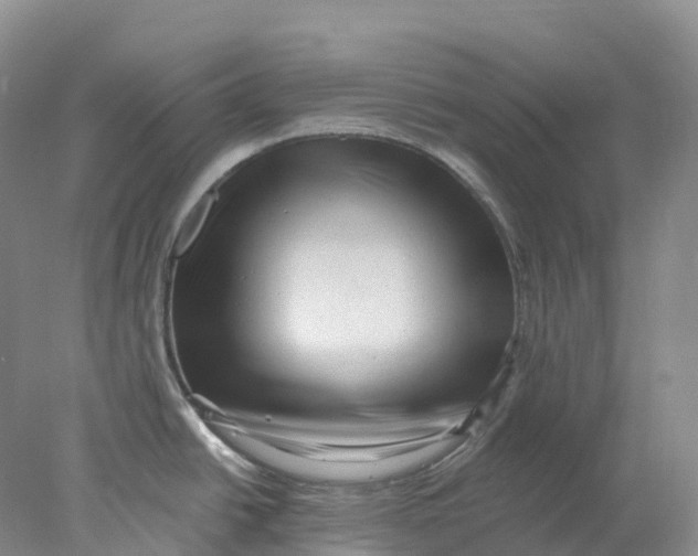 X0000077981438200611171717