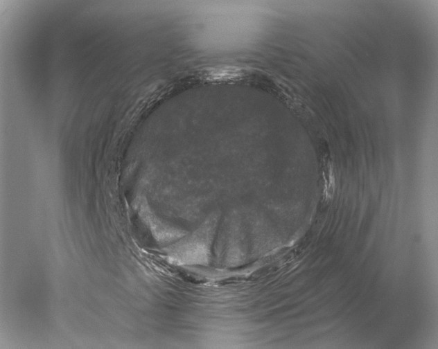 X0000077981441200611171716