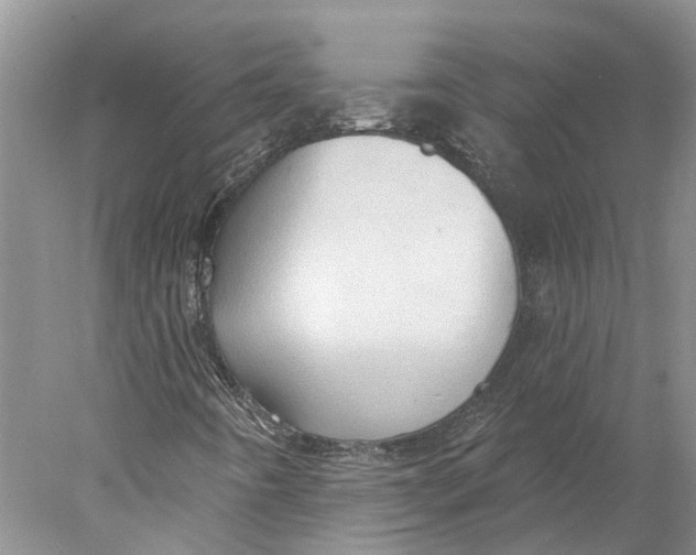 X0000077981442200611171716