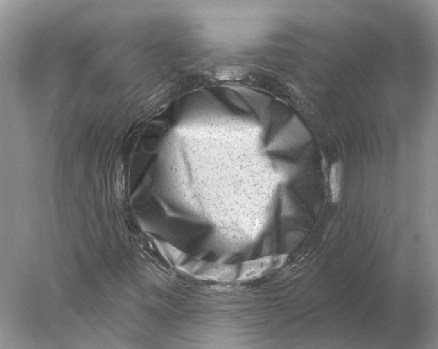 X0000077981443200611171716