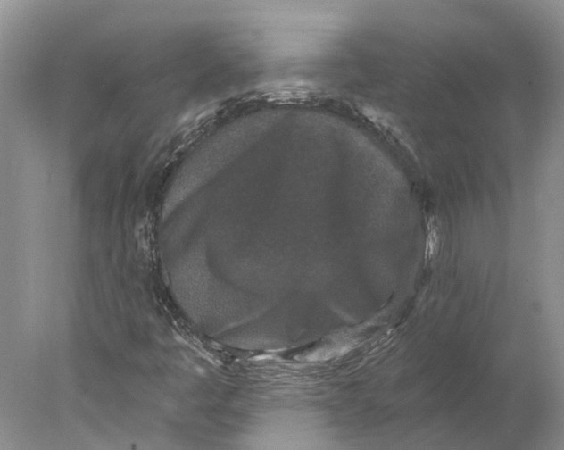 X0000077981445200611171716