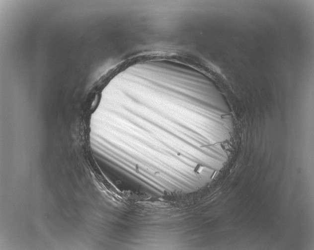 X0000077981448200611171716