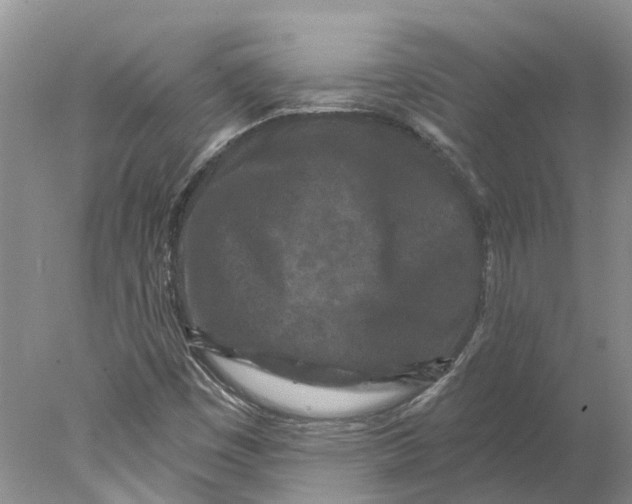 X0000077981449200611171716