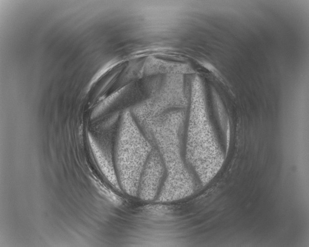 X0000077981450200611171716