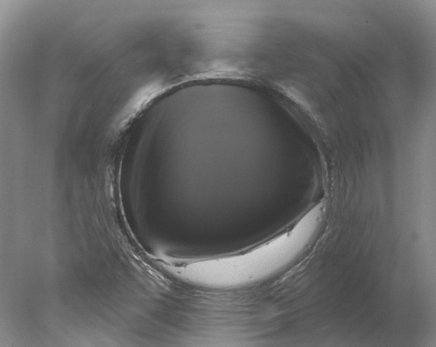X0000077981455200611171716