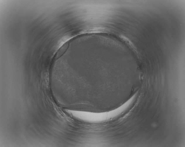 X0000077981457200611171716