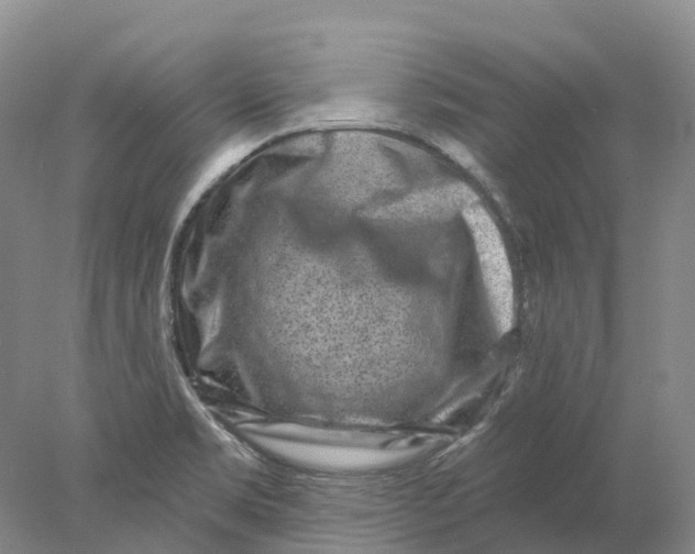 X0000077981469200611171716