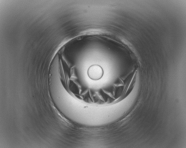 X0000077981473200611171716