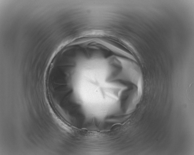 X0000077981475200611171716