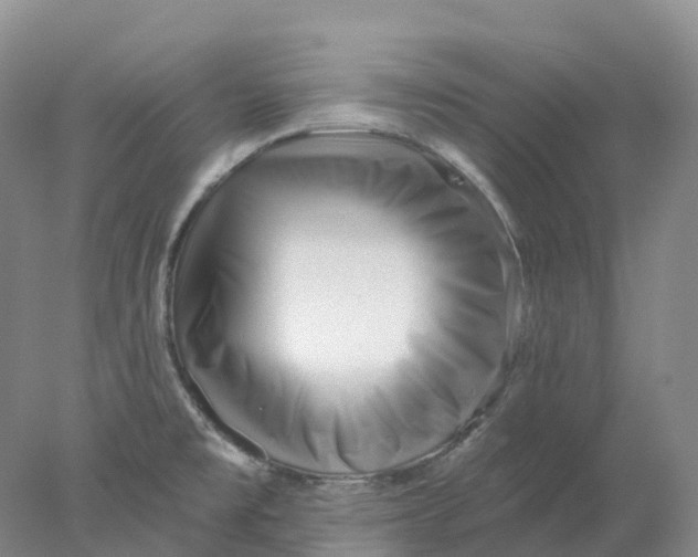 X0000077981477200611171716