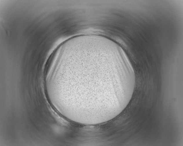 X0000077981478200611171716
