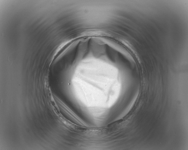 X0000077981481200611171716