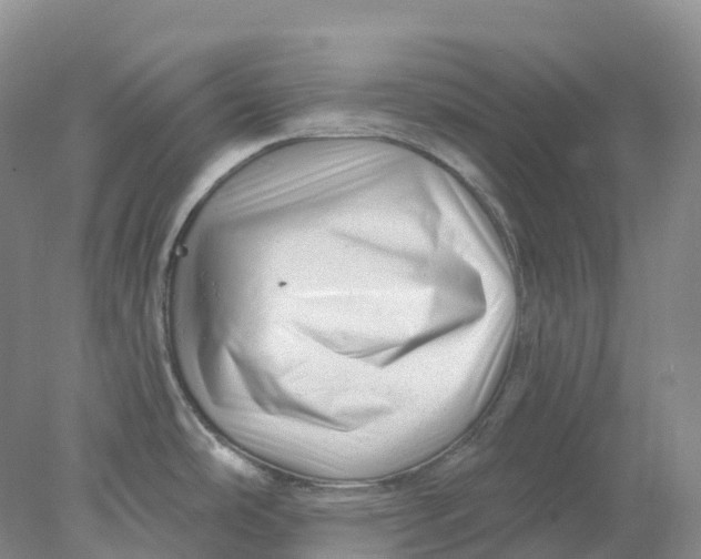 X0000077981486200611171716
