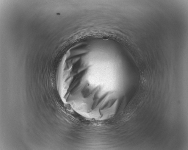 X0000077981490200611171715