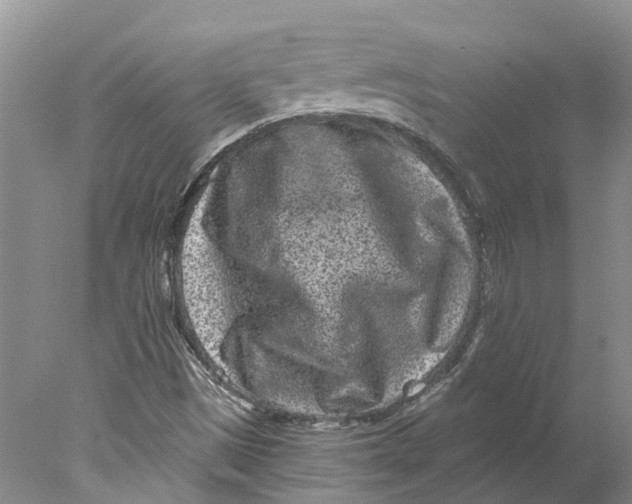 X0000077981497200611171715