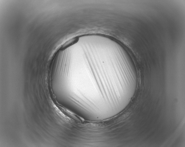 X0000077981500200611171715