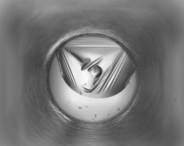 X0000077981502200611171715