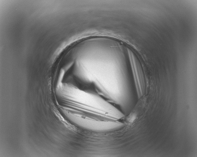 X0000077981503200611171715