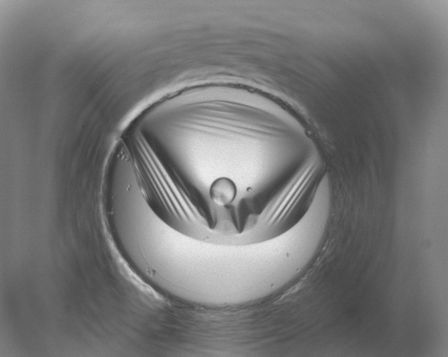 X0000077981518200611171715