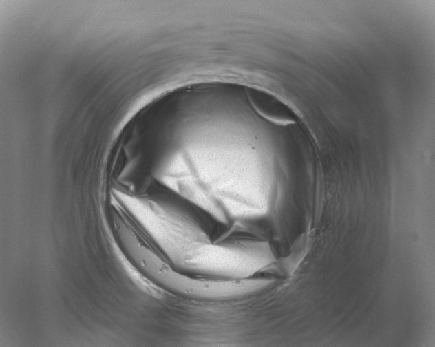 X0000077981523200611171715